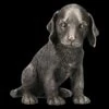 Hundefigur - Welpe Bronziert