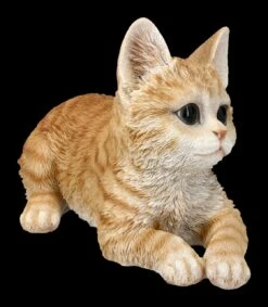 Katzen Figur - Orange Tabby Baby Liegend -FIGUREN Verkäufe 2D FS24459 Baby Katzen Figur Orange Tabby liegend 5 1280x1280