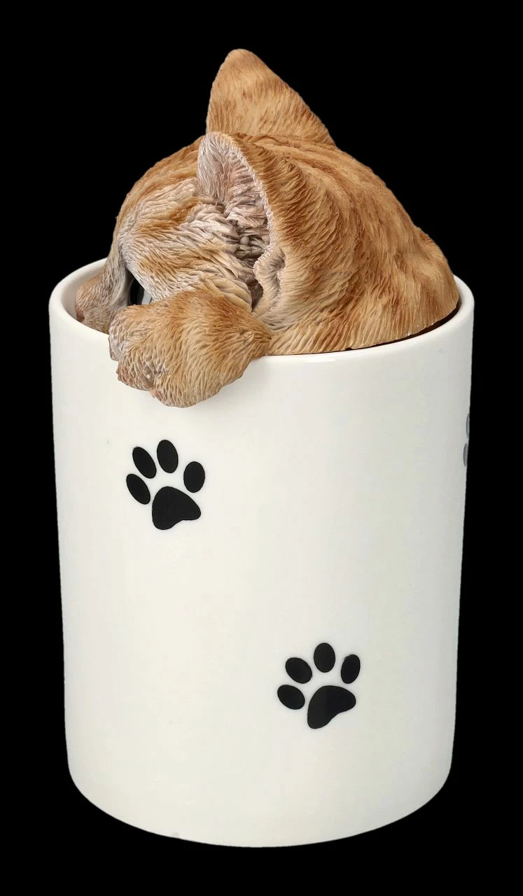 Leckerli Dose - Tabby Katze 6 Leckerli Dose - Tabby Katze – Bild 4