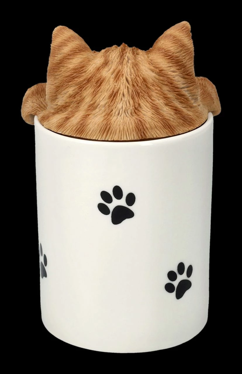 Leckerli Dose - Tabby Katze 7 Leckerli Dose - Tabby Katze – Bild 5