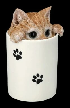 Leckerli Dose - Tabby Katze 12 Leckerli Dose - Tabby Katze -FIGUREN Verkäufe 2D FS24461 Legerli Dose Tabby Katze 6 1280x1280