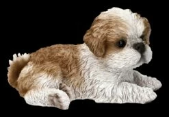 Shih Tzu Welpen Figur Liegend