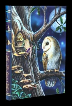 Notizbuch Eule Mit Elfe - Fairy Tales -FIGUREN Verkäufe 2D FS24500 Notizbuch Eule mit Elfe Fairy Tales 6 1280x1280
