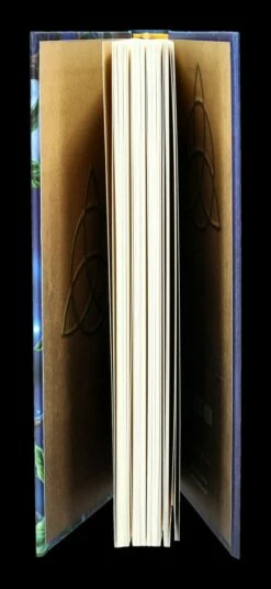 Notizbuch Eule Mit Elfe - Fairy Tales -FIGUREN Verkäufe 2D FS24500 Notizbuch Eule mit Elfe Fairy Tales 8 1280x1280