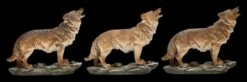 Wolf Figuren - Stehend Heulend 3er Set 13 Wolf Figuren - Stehend Heulend 3er Set -FIGUREN Verkäufe 2D FS24607 Wolf Figurren Stehend heulden 3er Set 3 1280x1280