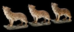 Wolf Figuren - Stehend Heulend 3er Set 11 Wolf Figuren - Stehend Heulend 3er Set -FIGUREN Verkäufe 2D FS24607 Wolf Figurren Stehend heulden 3er Set 5 1280x1280