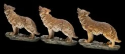 Wolf Figuren - Stehend Heulend 3er Set 15 Wolf Figuren - Stehend Heulend 3er Set -FIGUREN Verkäufe 2D FS24607 Wolf Figurren Stehend heulden 3er Set 6 1280x1280