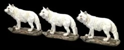 Wolf Figuren - Stehend Weiß 3er Set -FIGUREN Verkäufe 2D FS24609 Wolf Figuren Stehend weiss 3er Set 6 1280x1280