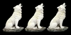 Wolf Figuren - Sitzend Heulend Weiß 3er Set -FIGUREN Verkäufe 2D FS24611 Wolf Figuren Sitzend heulend weiss 3er Set 3 1280x1280