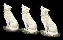 Wolf Figuren - Sitzend Heulend Weiß 3er Set -FIGUREN Verkäufe 2D FS24611 Wolf Figuren Sitzend heulend weiss 3er Set 6 1280x1280