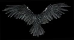 Wandrelief - Schwarze Keltische Eule -FIGUREN Verkäufe 2D FS24644 Wandrelief Schwarze keltische Eule 13 1280x1280