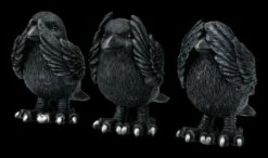 NEMESIS NOW Raben Figuren - Nichts Böses -FIGUREN Verkäufe 2D FS24707 Raben Figuren Nichts Boses 4 1280x1280