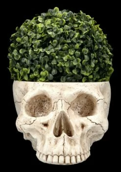 Totenkopf Pflanztopf Knochenfarben Groß 13 Totenkopf Pflanztopf Knochenfarben Groß -FIGUREN Verkäufe 2D FS24736 Totenkopf Pflanztopf Knochenfarben 10 1280x1280