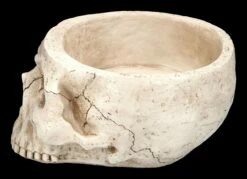 Totenkopf Pflanztopf Knochenfarben Groß 17 Totenkopf Pflanztopf Knochenfarben Groß -FIGUREN Verkäufe 2D FS24736 Totenkopf Pflanztopf Knochenfarben 2 1280x1280