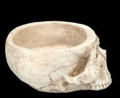 Totenkopf Pflanztopf Knochenfarben Groß 19 Totenkopf Pflanztopf Knochenfarben Groß -FIGUREN Verkäufe 2D FS24736 Totenkopf Pflanztopf Knochenfarben 4 1280x1280