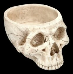 Totenkopf Pflanztopf Knochenfarben Groß 14 Totenkopf Pflanztopf Knochenfarben Groß -FIGUREN Verkäufe 2D FS24736 Totenkopf Pflanztopf Knochenfarben 5 1280x1280