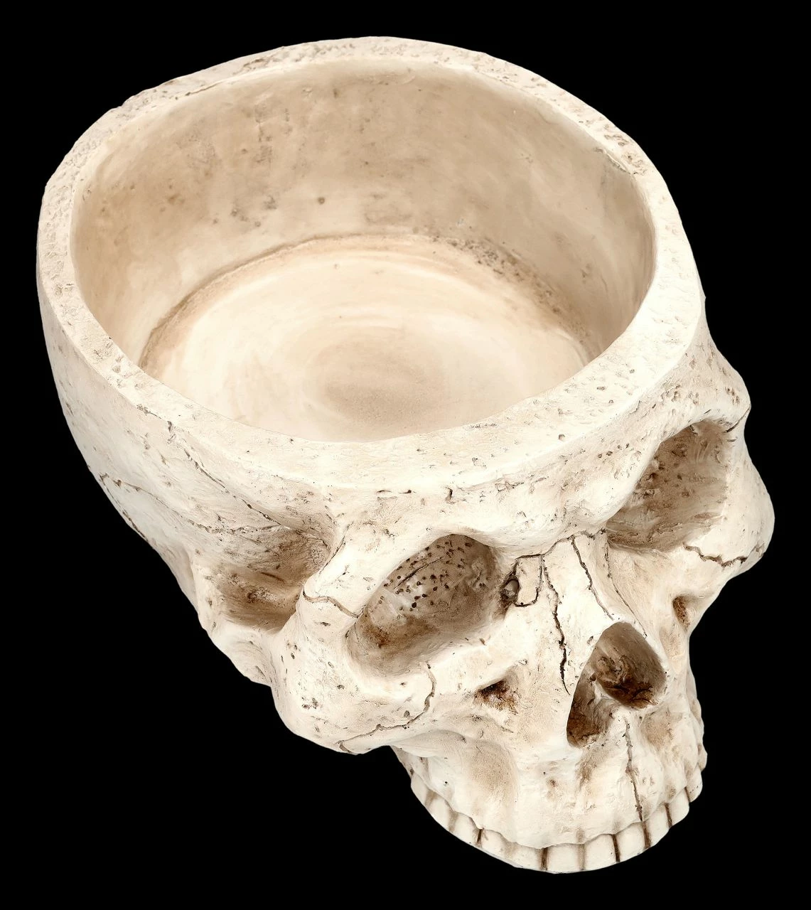 Totenkopf Pflanztopf Knochenfarben Groß 8 Totenkopf Pflanztopf Knochenfarben Groß – Bild 6