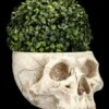 Totenkopf Pflanztopf Knochenfarben Groß