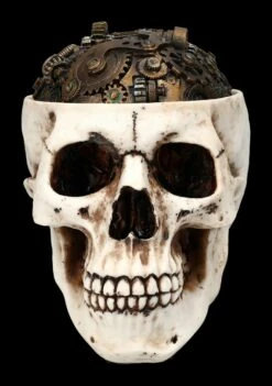 Totenkopf Schatulle - Zahnrad Deckel -FIGUREN Verkäufe 2D FS24740 Totenkopf Schatulle Zahnrad Deckel 1 1280x1280
