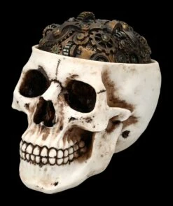 Totenkopf Schatulle - Zahnrad Deckel -FIGUREN Verkäufe 2D FS24740 Totenkopf Schatulle Zahnrad Deckel 6 1280x1280