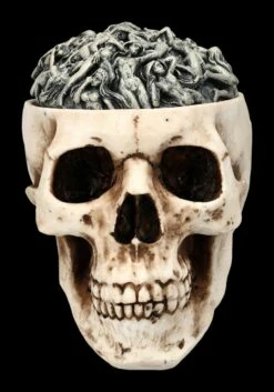 Totenkopf Schatulle - Hells Desire Deckel 11 Totenkopf Schatulle - Hells Desire Deckel -FIGUREN Verkäufe 2D FS24743 Totenkopf Schatulle Hells Desire Deckel 1 1280x1280