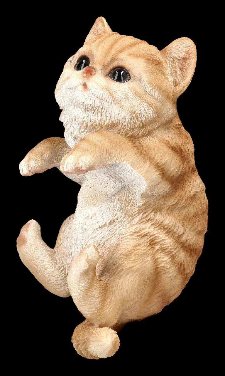 Katzen Baby Figur Als Blumentopf-Hänger 4 Katzen Baby Figur Als Blumentopf-Hänger – Bild 2