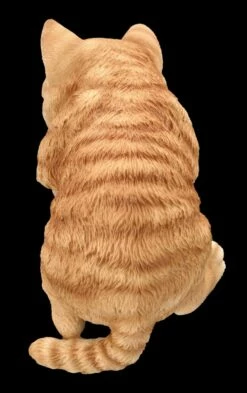 Katzen Baby Figur Als Blumentopf-Hänger 15 Katzen Baby Figur Als Blumentopf-Hänger -FIGUREN Verkäufe 2D FS24784 Katzen Baby Figur als Blumentopf Hanger 8 1280x1280