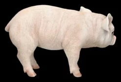 Schweine Figur - Ferkel Schweinchen -FIGUREN Verkäufe 2D FS24785 Schweine Figur Schweinchen 9 1280x1280