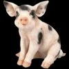 Schweine Figur - Geflecktes Ferkel -FIGUREN Verkäufe 2D FS24786 Schweine Figur Geflecktes Schweinchen 1 1280x1280