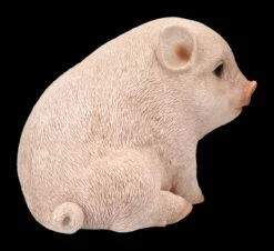 Schweine Figur - Schweinchen Baby -FIGUREN Verkäufe 2D FS24787 Schweine Figur Schweinchen Baby 4 1280x1280