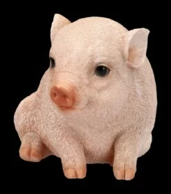 Schweine Figur - Schweinchen Baby -FIGUREN Verkäufe 2D FS24787 Schweine Figur Schweinchen Baby 6 1280x1280