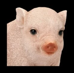 Schweine Figur - Schweinchen Baby -FIGUREN Verkäufe 2D FS24787 Schweine Figur Schweinchen Baby 7 1280x1280