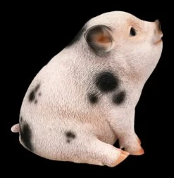 Schweine Figur - Geflecktes Schweinchen Baby -FIGUREN Verkäufe 2D FS24788 Schweine Figur Geflecktes Scheinchen Baby 4 1280x1280