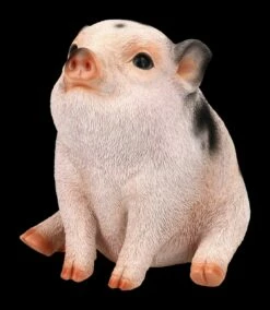 Schweine Figur - Geflecktes Schweinchen Baby -FIGUREN Verkäufe 2D FS24788 Schweine Figur Geflecktes Scheinchen Baby 6 1280x1280