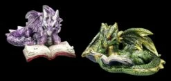 Drachen Figuren 2er Set Lesen Buch 15 Drachen Figuren 2er Set Lesen Buch -FIGUREN Verkäufe 2D FS24985 Drachen Figuren 2er set lesen Buch 6 1280x1280