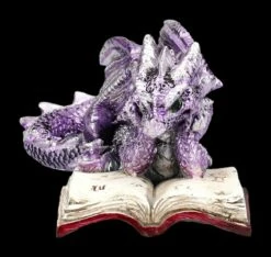 Drachen Figuren 2er Set Lesen Buch 16 Drachen Figuren 2er Set Lesen Buch -FIGUREN Verkäufe 2D FS24985 Drachen Figuren 2er set lesen Buch 9 1280x1280