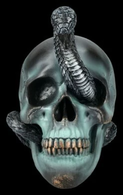 NEMESIS NOW Totenkopf Mit Schlange - Serpentine Fate 12 NEMESIS NOW Totenkopf Mit Schlange - Serpentine Fate -FIGUREN Verkäufe 2D FS24999 Totenkopf mit Schlange Serpentine Fate 1 1280x1280