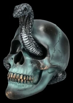 NEMESIS NOW Totenkopf Mit Schlange - Serpentine Fate 16 NEMESIS NOW Totenkopf Mit Schlange - Serpentine Fate -FIGUREN Verkäufe 2D FS24999 Totenkopf mit Schlange Serpentine Fate 6 1280x1280