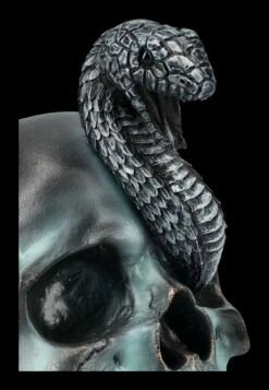 NEMESIS NOW Totenkopf Mit Schlange - Serpentine Fate 17 NEMESIS NOW Totenkopf Mit Schlange - Serpentine Fate -FIGUREN Verkäufe 2D FS24999 Totenkopf mit Schlange Serpentine Fate 7 1280x1280