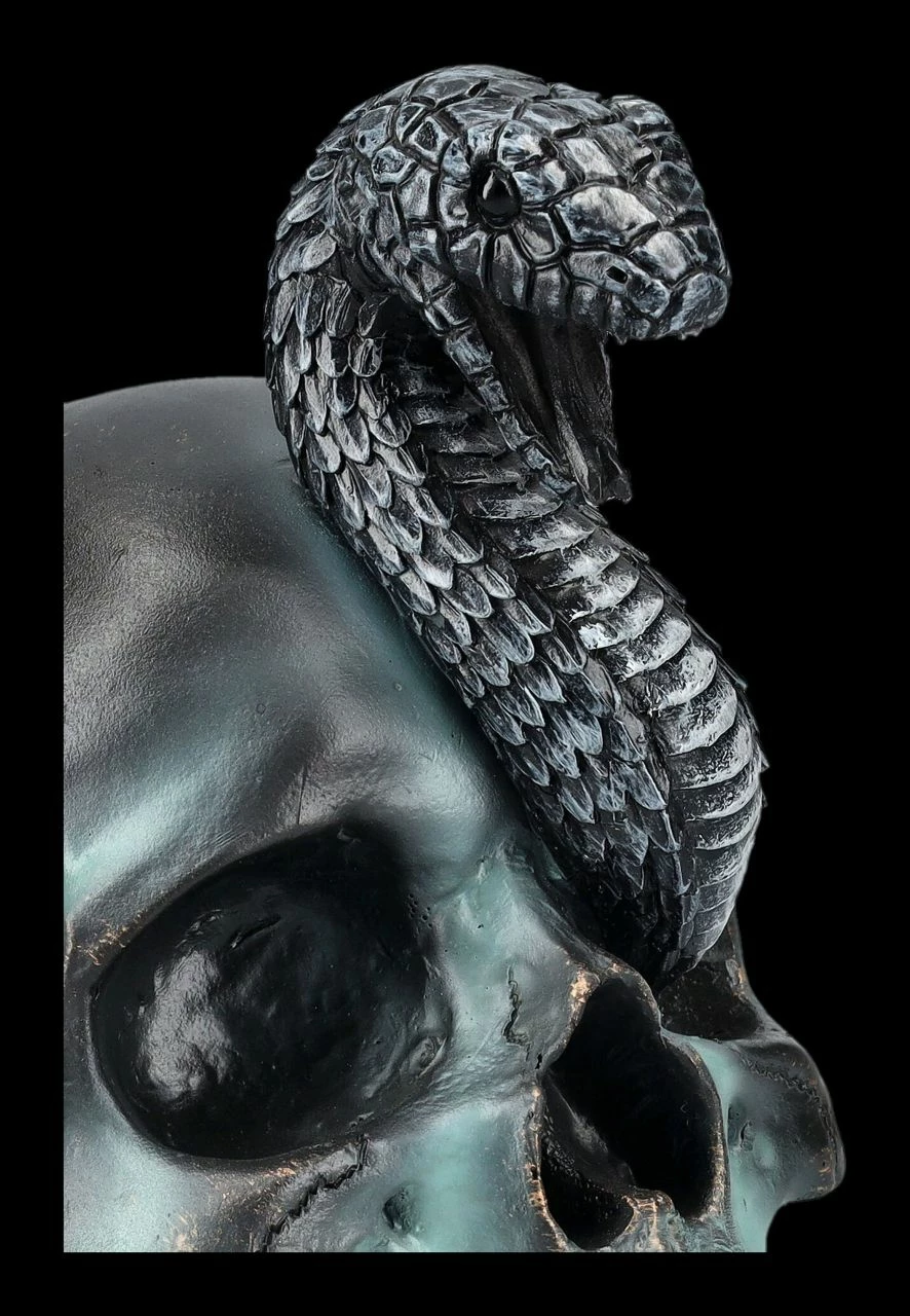 NEMESIS NOW Totenkopf Mit Schlange - Serpentine Fate 10 NEMESIS NOW Totenkopf Mit Schlange - Serpentine Fate – Bild 8