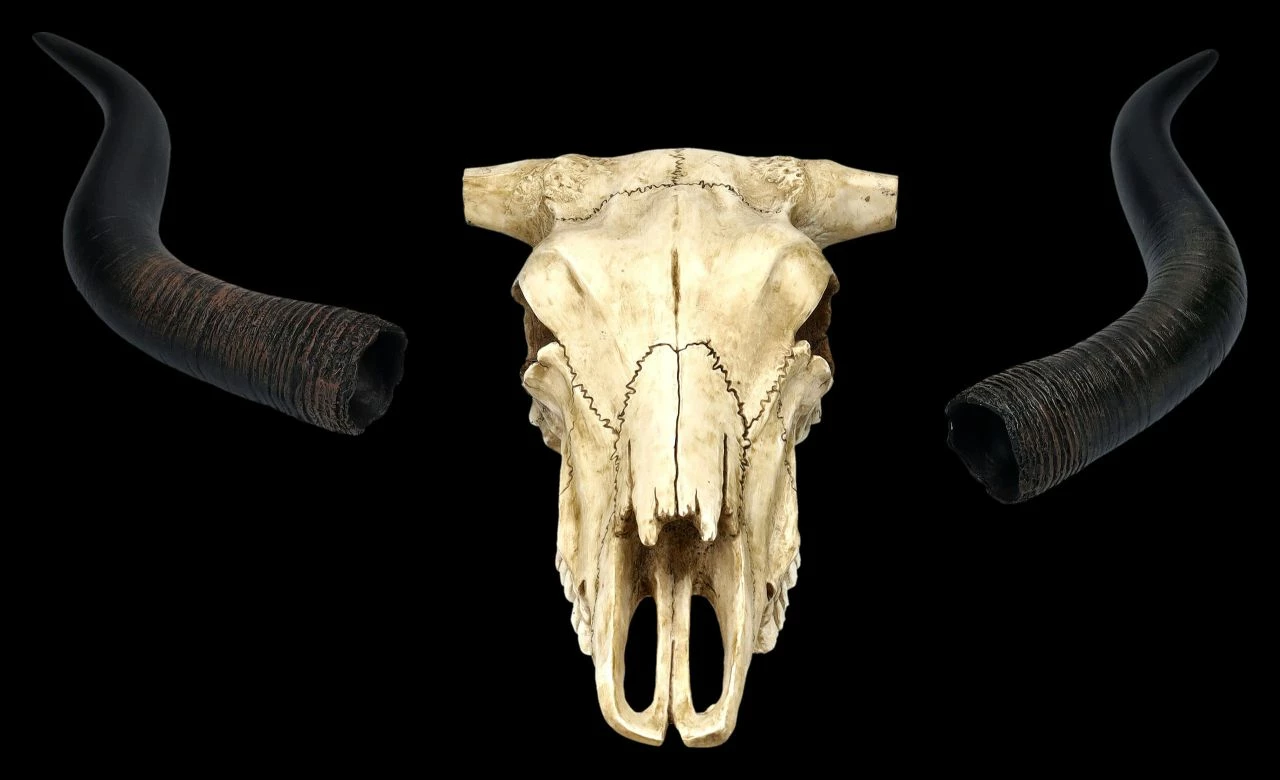 Wandrelief Totenkopf - Longhorn Rinderschädel 10 Wandrelief Totenkopf - Longhorn Rinderschädel – Bild 8