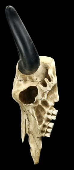 Wandrelief Totenkopf - Longhorn Rinderschädel 14 Wandrelief Totenkopf - Longhorn Rinderschädel -FIGUREN Verkäufe 2D FS25104 Wandrelief Totenkopf Langhorn Rindersch del 2 1280x1280