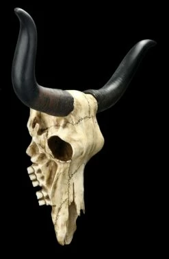 Wandrelief Totenkopf - Longhorn Rinderschädel 13 Wandrelief Totenkopf - Longhorn Rinderschädel -FIGUREN Verkäufe 2D FS25104 Wandrelief Totenkopf Langhorn Rindersch del 6 1280x1280