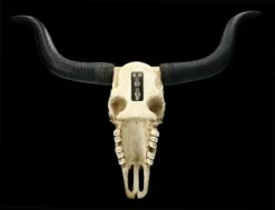 Wandrelief Totenkopf - Longhorn Rinderschädel 15 Wandrelief Totenkopf - Longhorn Rinderschädel -FIGUREN Verkäufe 2D FS25104 Wandrelief Totenkopf Langhorn Rindersch del 9 1280x1280