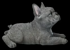 Französische Bulldogge Welpe Figur Liegend Grau -FIGUREN Verkäufe 2D FS25127 Franz sische Bulldogge Welpe Figur liegend grau 4 1280x1280