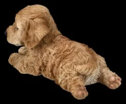 Cockapoo Welpe Figur Liegend -FIGUREN Verkäufe 2D FS25129 Cockapoo Welpe Figur liegend 2 1280x1280