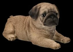 Mops Welpe Figur Liegend 10 Mops Welpe Figur Liegend -FIGUREN Verkäufe 2D FS25132 Mops WElpe Figur liegend 7 1280x1280