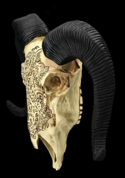 Wandrelief - Widderschädel Mit Verzierungen Mittel -FIGUREN Verkäufe 2D FS25252 Wandrelief Widdersch del mit Verzierungen klein 3 1280x1280