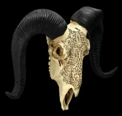 Wandrelief - Widderschädel Mit Verzierungen Mittel -FIGUREN Verkäufe 2D FS25252 Wandrelief Widdersch del mit Verzierungen klein 7 1280x1280