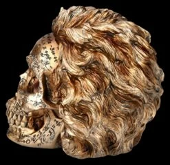 NEMESIS NOW Totenkopf Figur - Einstein Relativitätstheorie -FIGUREN Verkäufe 2D FS25377 Totenkopf Figur Einsteins Relativit tstherorie 2 1280x1280